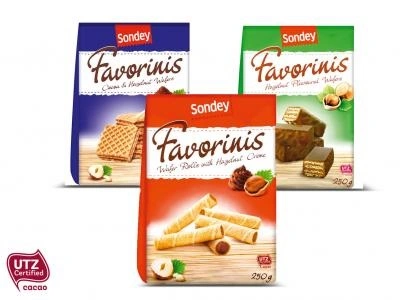 Favorini Hasselnöt Tört 250g*16 TEXT