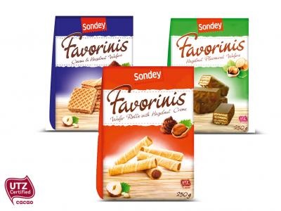 Favorini Hasselnöt Tört 250g*16 TEXT