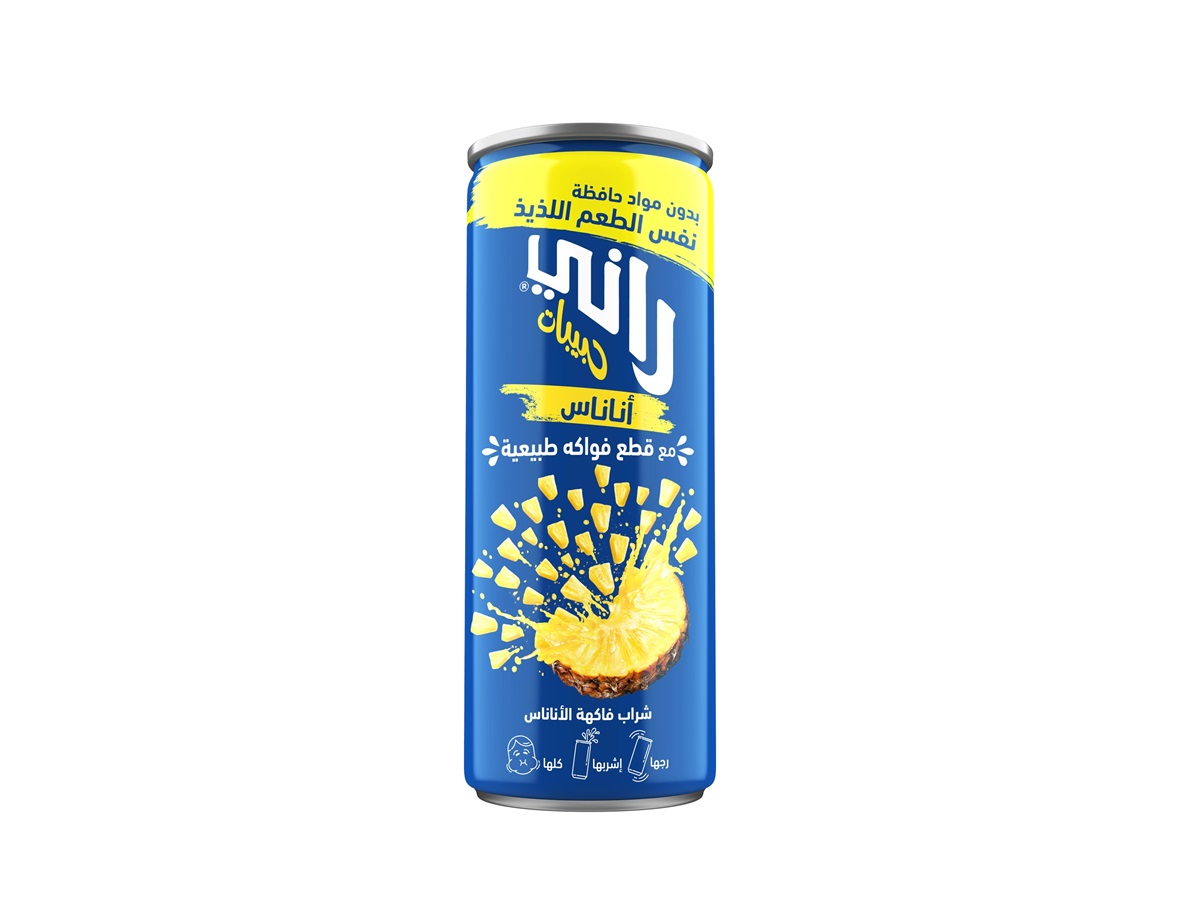 Rani BURK Ananas fruktdryck 240ml*20