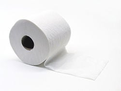 Toalet papper 45m*12